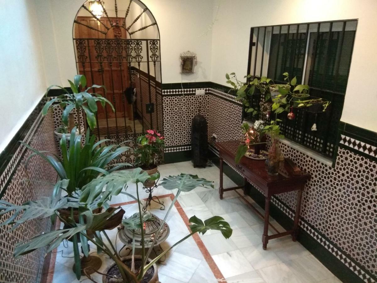 Apartamento Oasi Macarena Sevilla Exterior foto